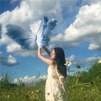 乔西的虎与鱼